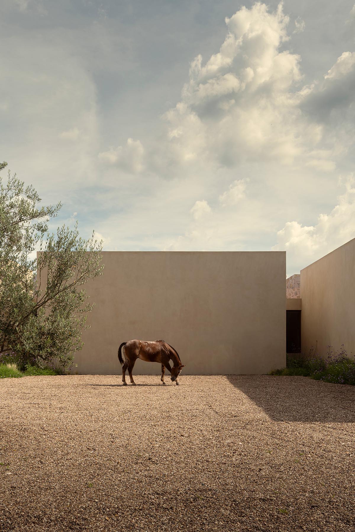 The architecture of Casa San Francisco creates timeless