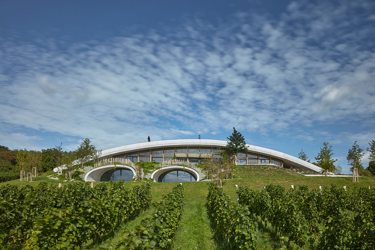 Curved green roof hides winery by Aleš Fiala in a rolling landscape in the Czech Republic