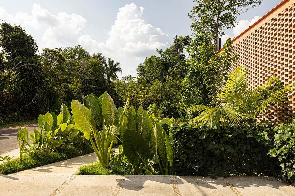 Pupunha House offers skyward oasis amidst a lush landscape in Manaus