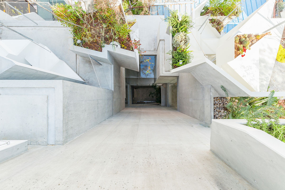 Akihisa Hirata built Tree-ness house that can create organic mass with indoor and outdoor spaces