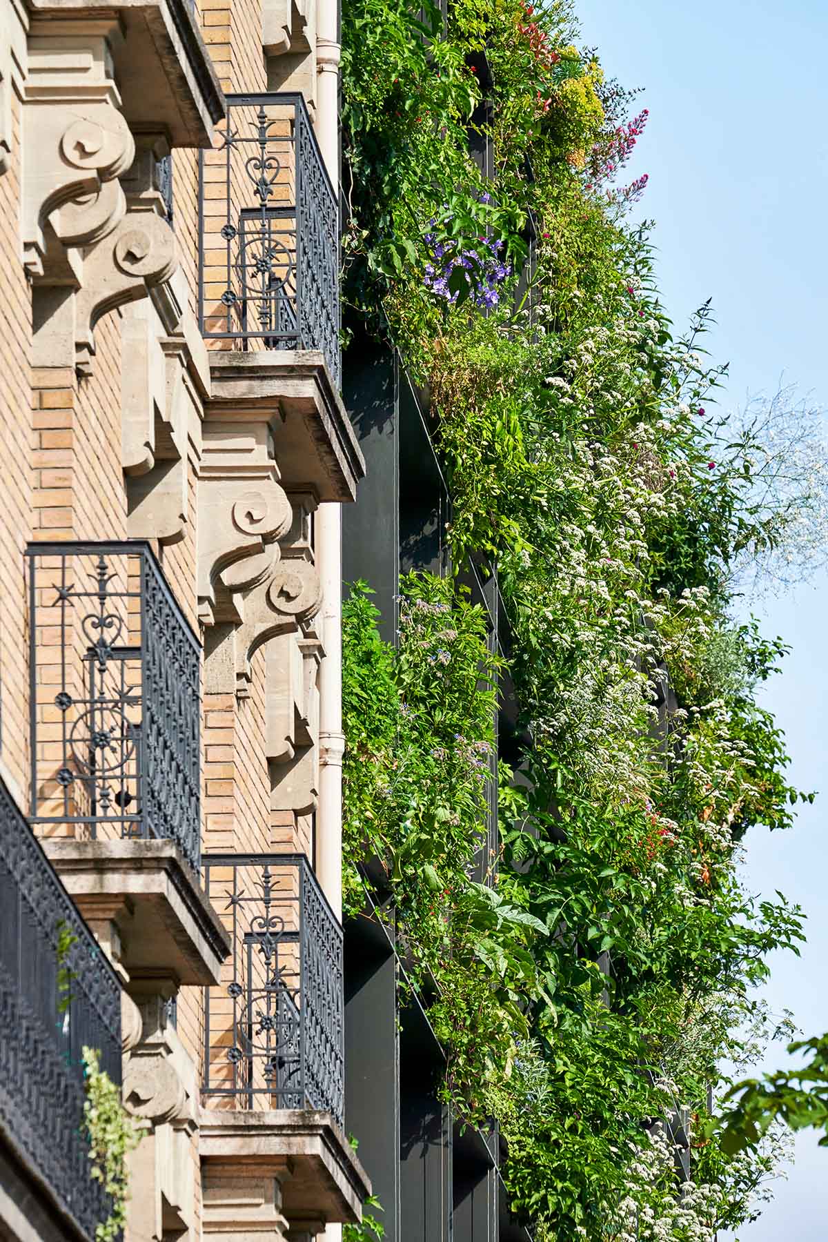 Triptyque Architecture and Philippe Starck design plant-covered hotel in Paris 