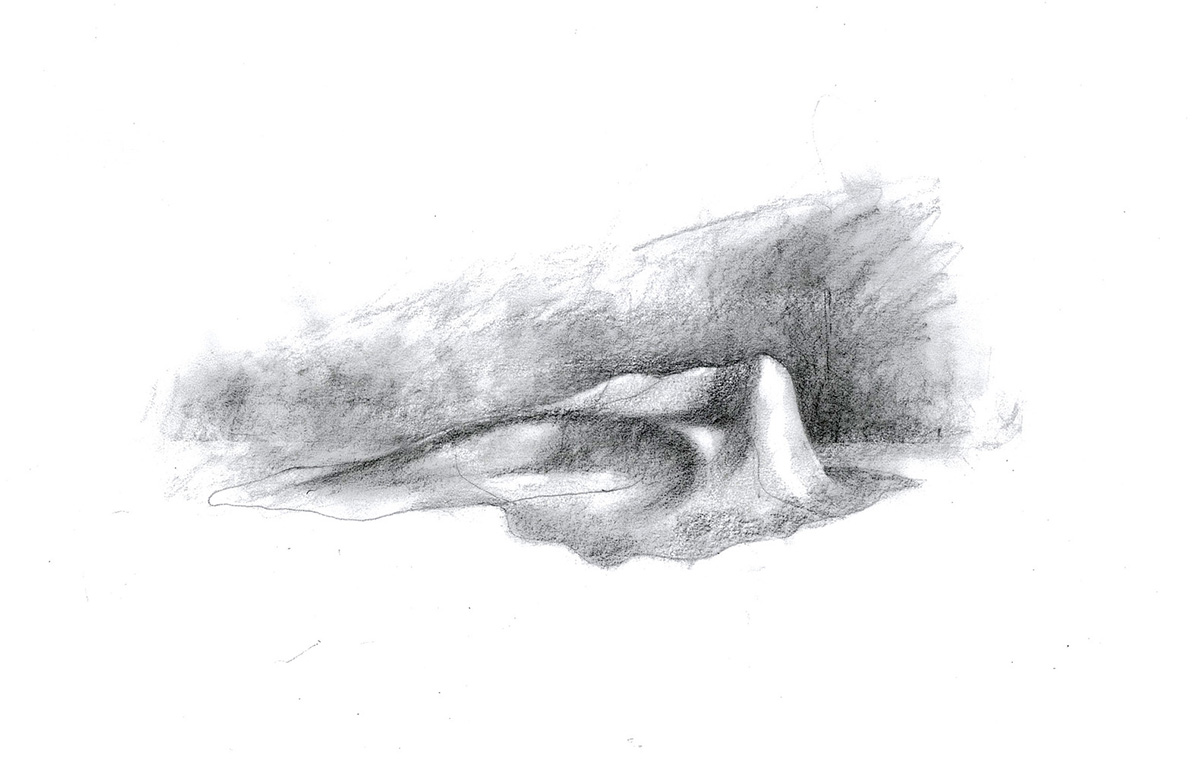 Denton Corker Marshall embraces 