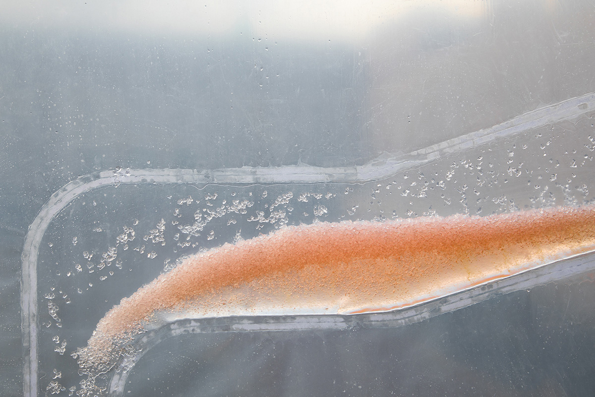 ecoLogicStudio designed bio-digital urban curtain that fights global climate change