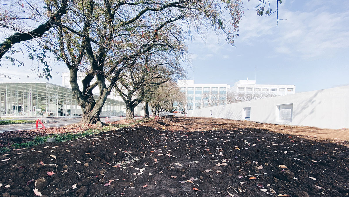 Junya Ishigami + Associates completes grand porous outdoor plaza for Kanagawa Institute of Technology