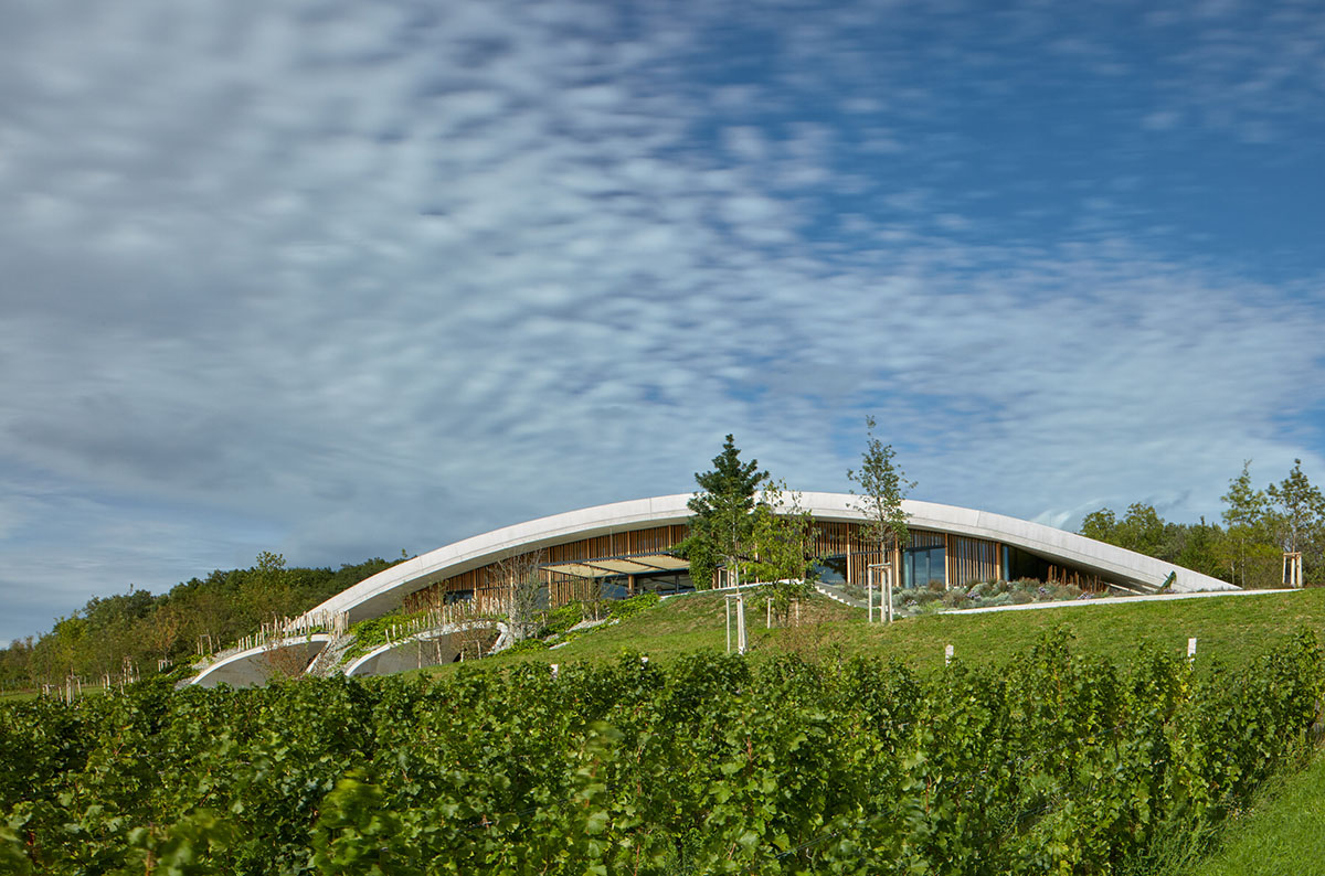 Curved green roof hides winery by Aleš Fiala in a rolling landscape in the Czech Republic