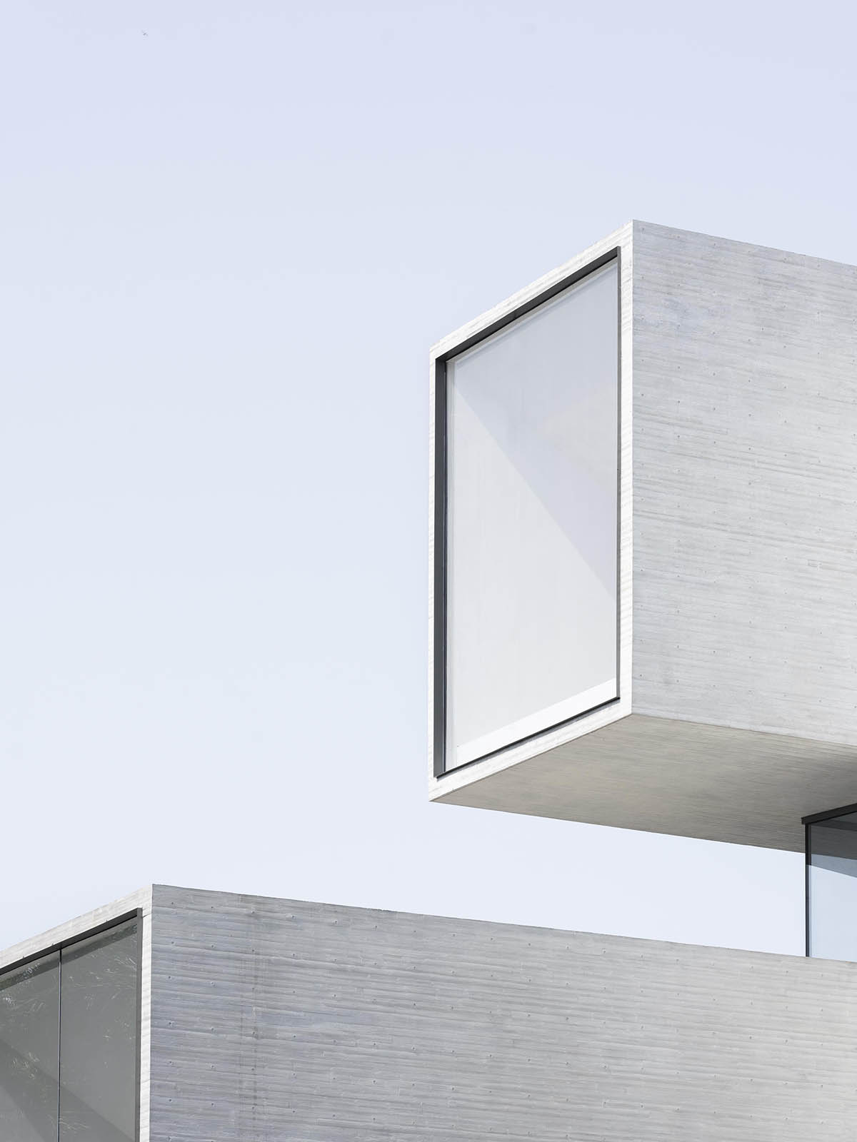 Yunlu Wetland Museum becomes a harmonious sanctuary for egrets and nature in China 