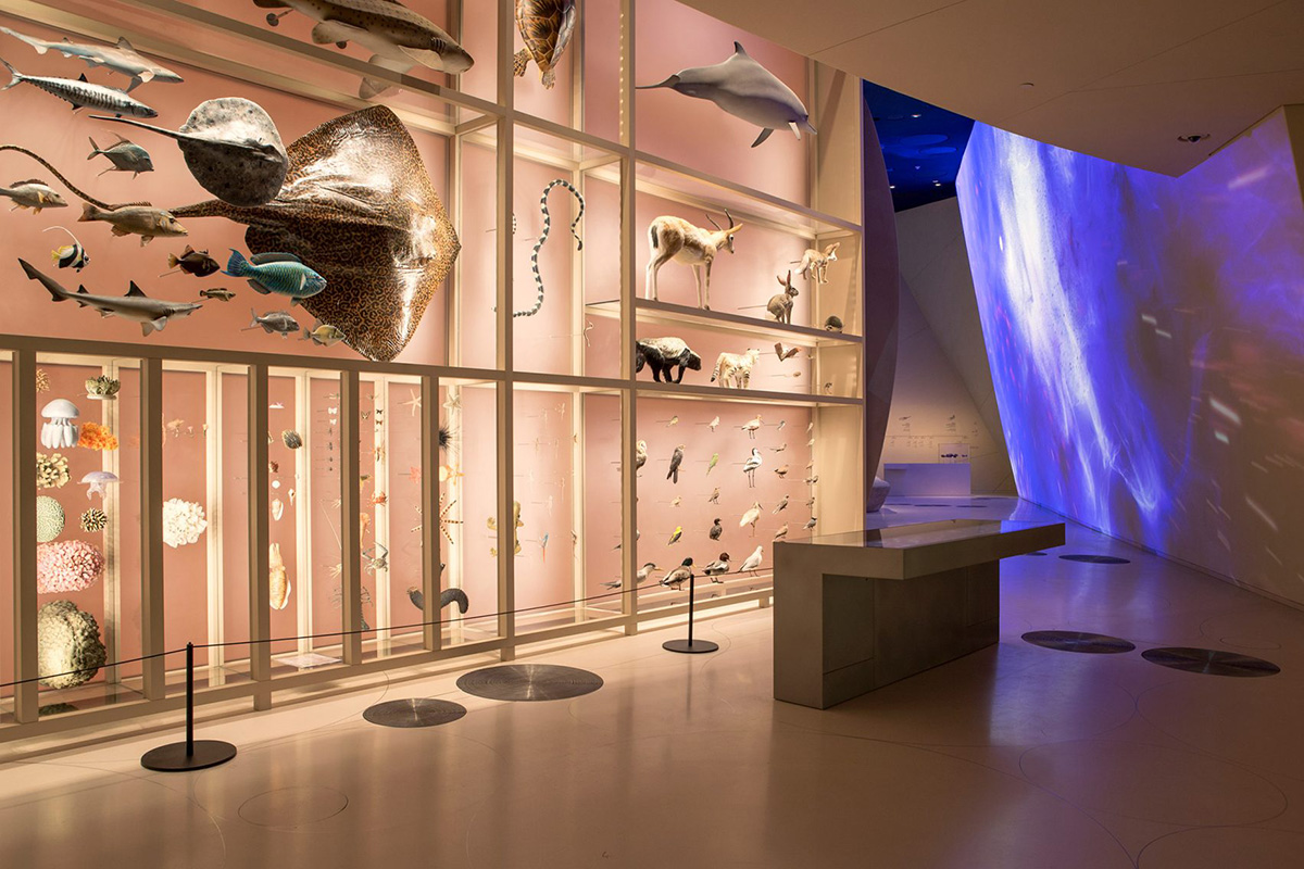 Jean Nouvel's
