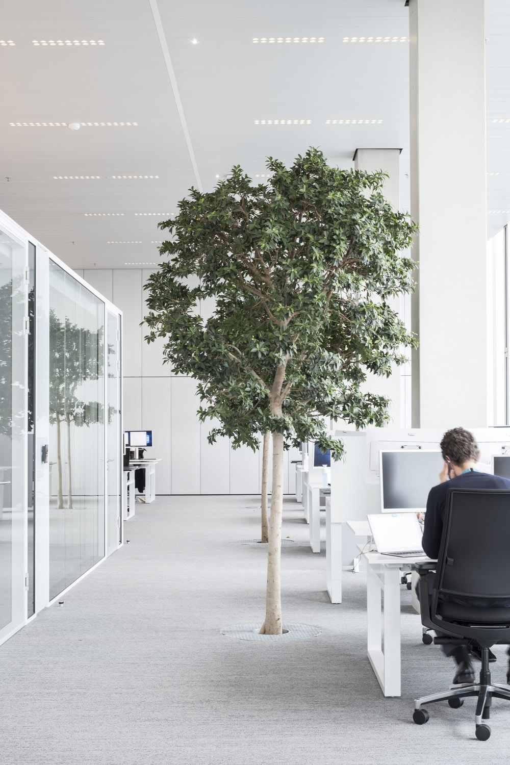 OMA transforms former governmental office building into