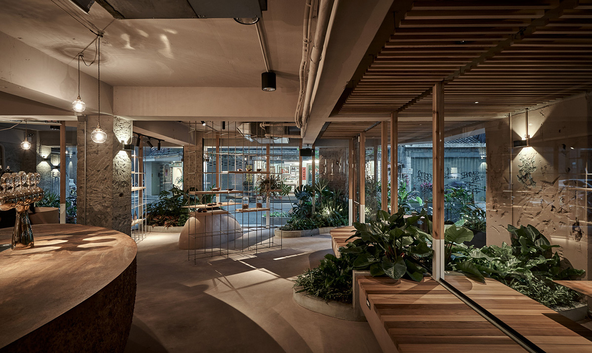 Soar Design Studio adds greenery and smooth surfaces to chocolate store offering garden-like space