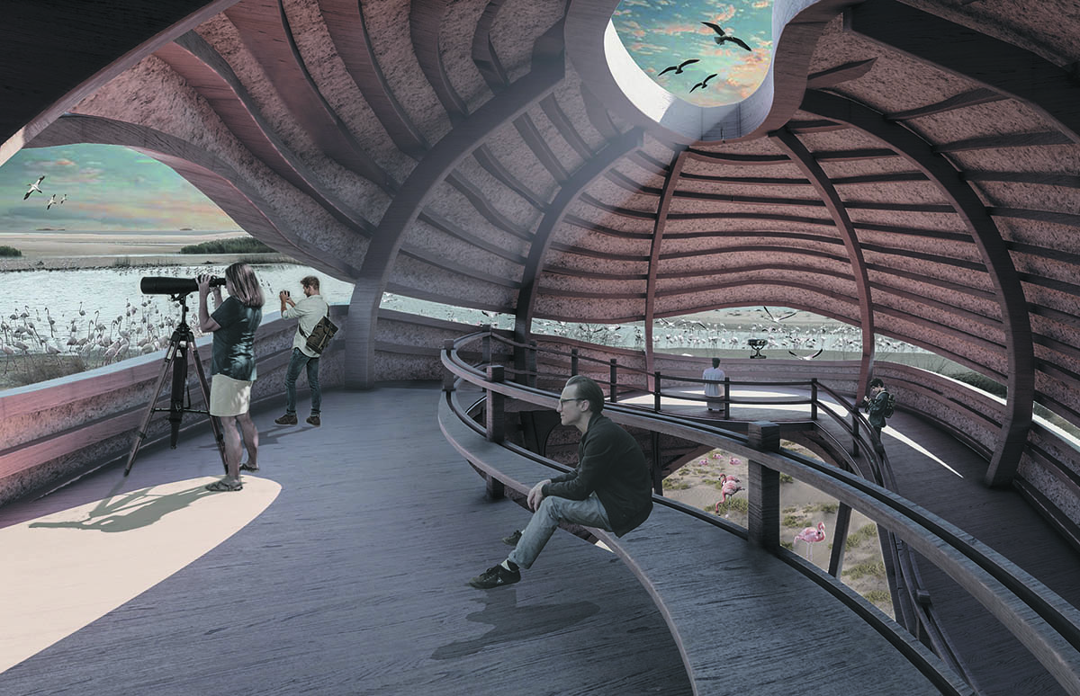 Abu Dhabi Flamingo Observation Tower competition winners announced