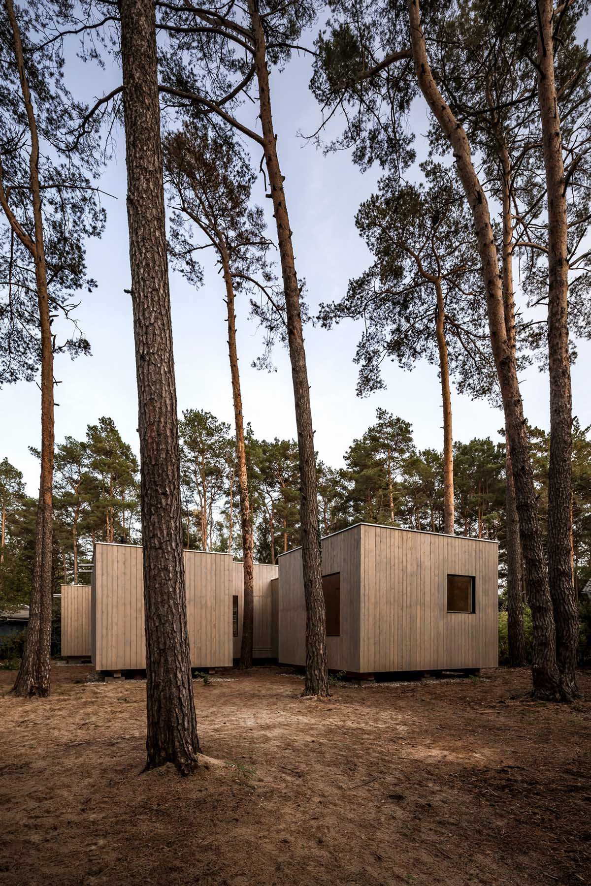 Zeller & Moye built private residence composed of interlocked timber cabins among pine trees