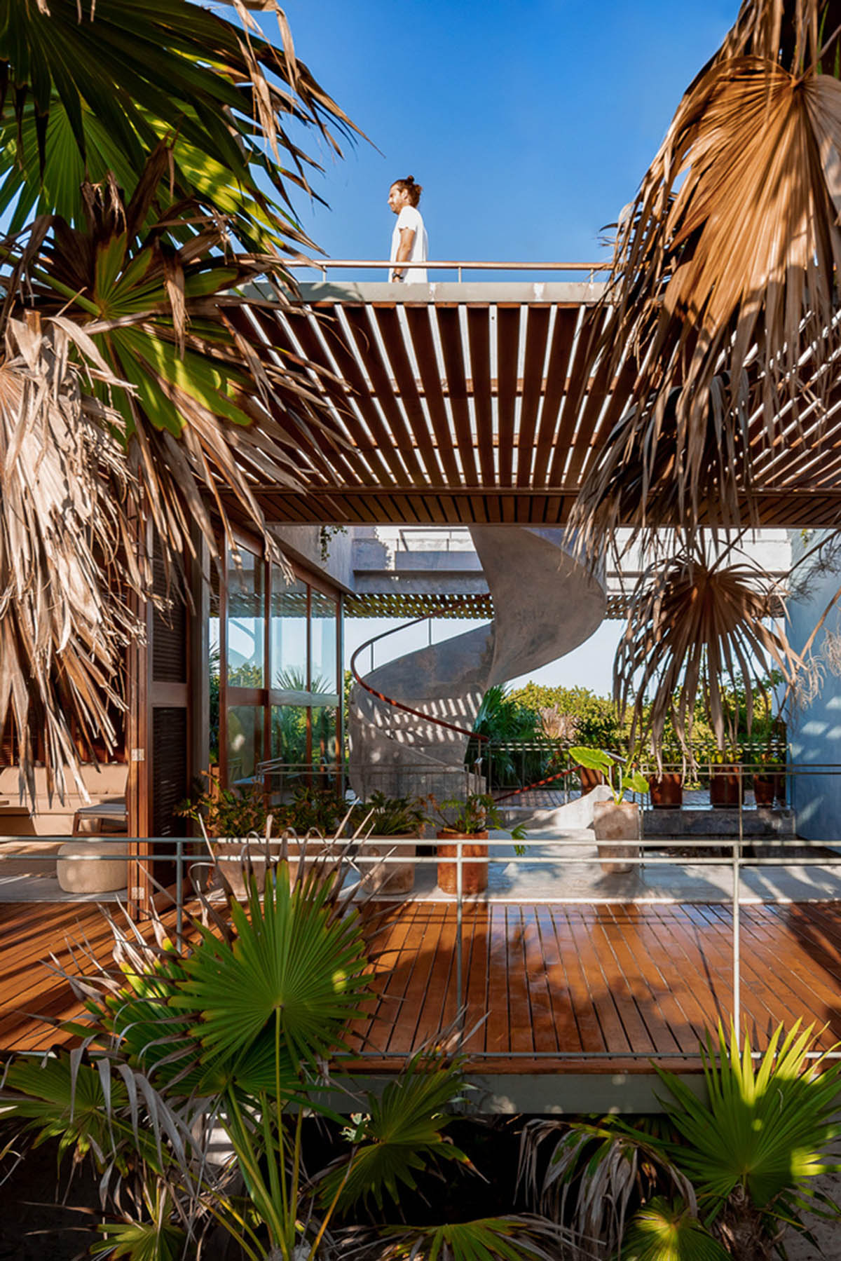 Bautista House by PRODUCTORA brings jungles inside with variations of spatial arrangements in Mexico