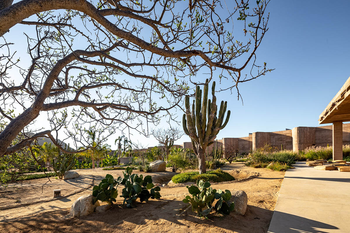 Resort mimics natural motion of desert with punctuated beige-coloured concrete volumes in Mexico 