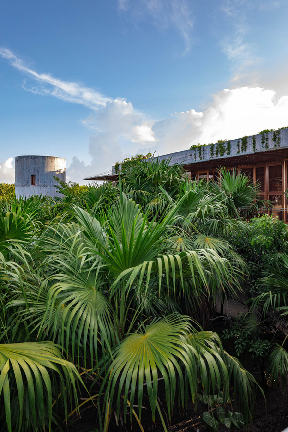 Bautista House by PRODUCTORA brings jungles inside with variations of spatial arrangements in Mexico