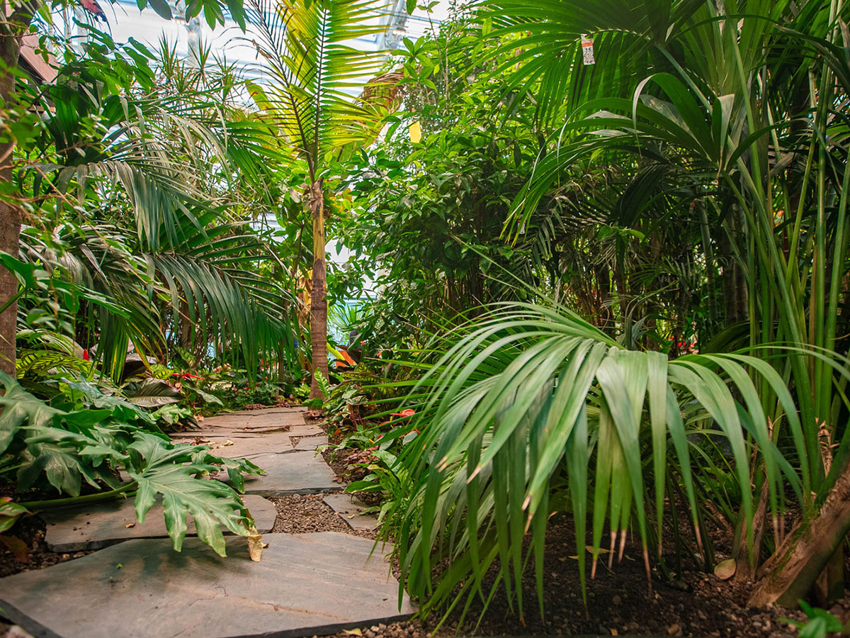 Worksplace nestled in an exotic garden is filled with various plants from many countries in Poland 