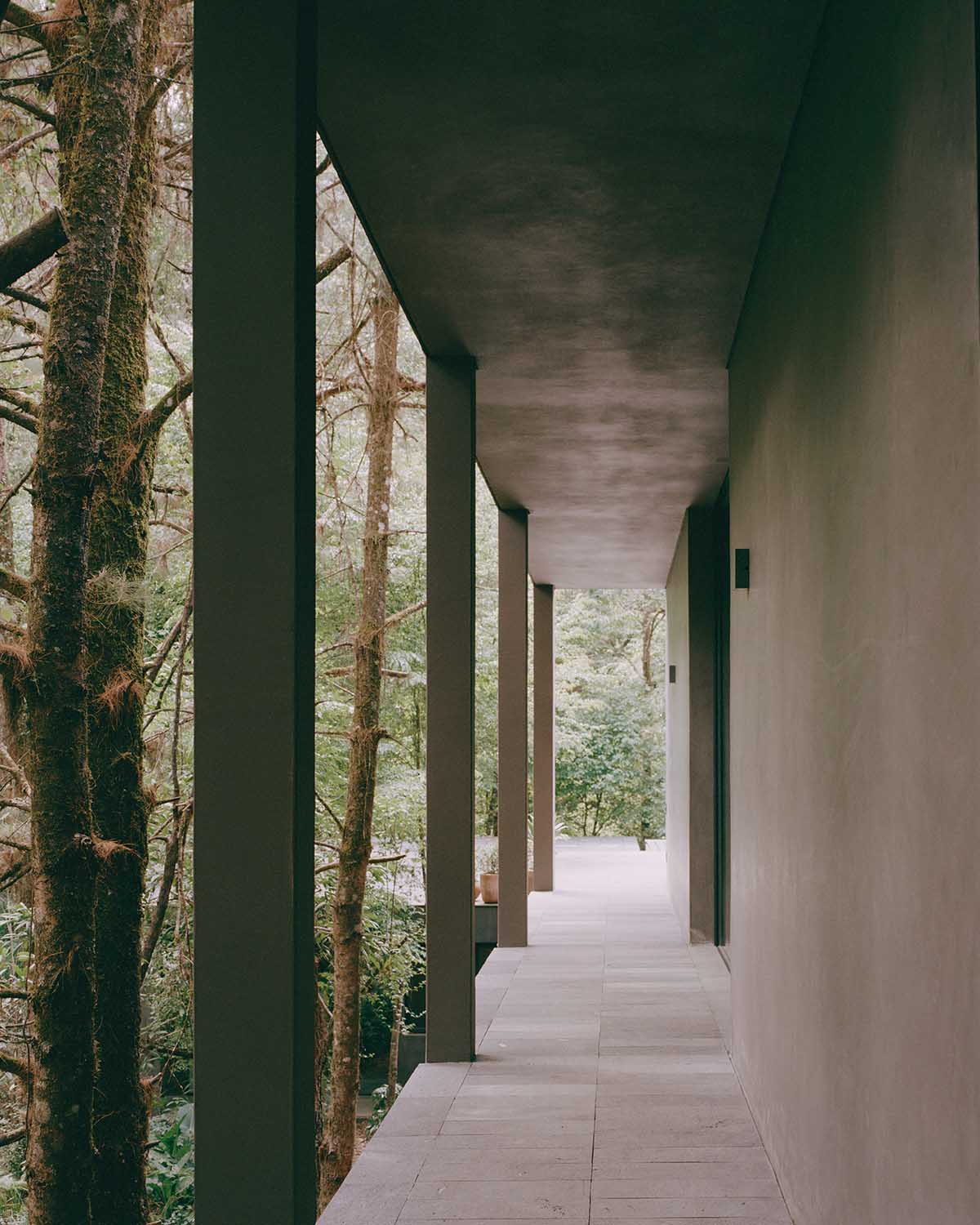PPAA completes Copas House with sleek skin and pastel tones in Valle de Bravo
