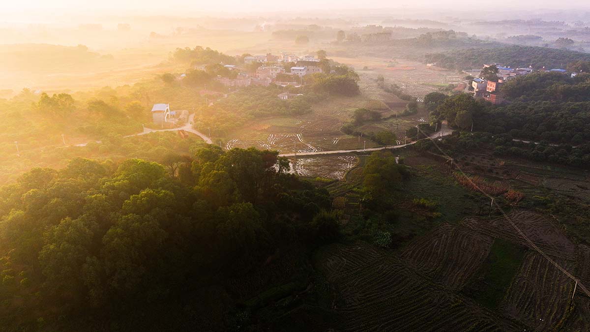Staggered volumes define educational and cultural centre shaped around the pond in China