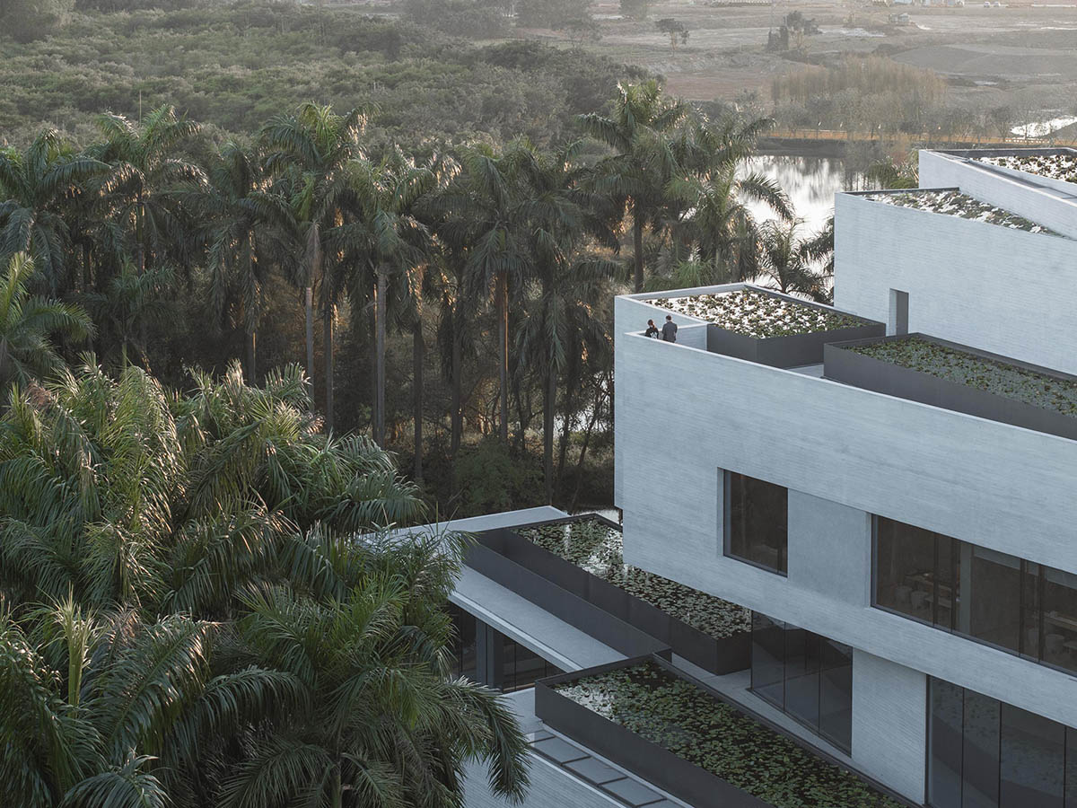 Yunlu Wetland Museum becomes a harmonious sanctuary for egrets and nature in China 