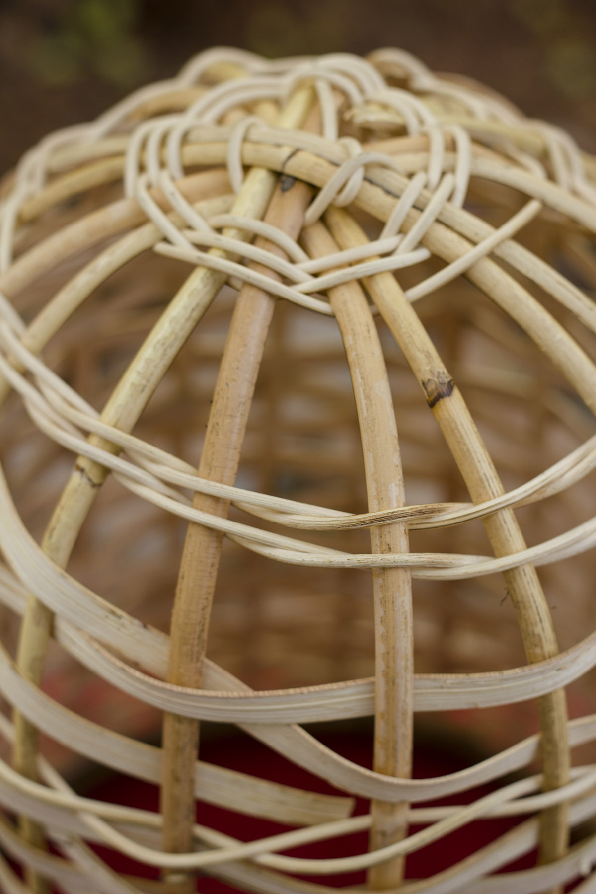 The Objective Basket, Studio Wood, Kochi Biennale Foundation