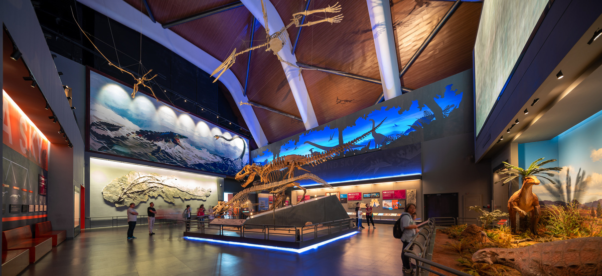 COX Architecture completes China's first National Maritime Museum inspired by aquatic references