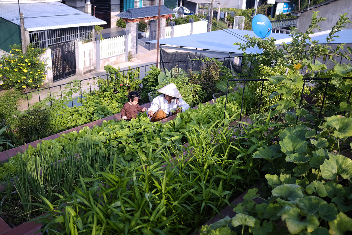 This reddish house features rooftop garden to make owners grow their own food in Vietnam