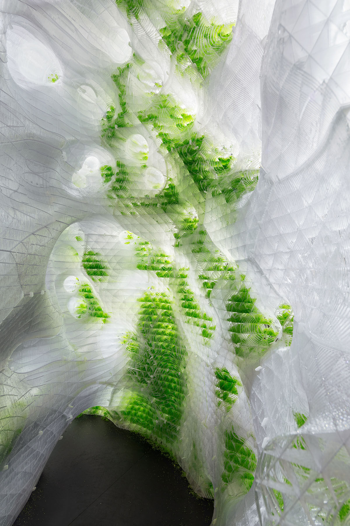 ecoLogicStudio designs two bio-digital sculptures exploring the future forms of spatial intelligence