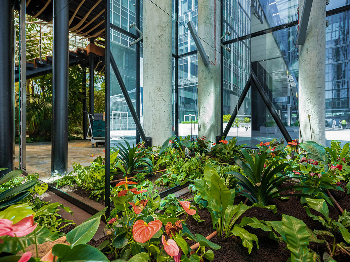 Worksplace nestled in an exotic garden is filled with various plants from many countries in Poland 