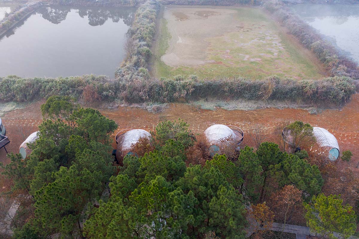 ZJJZ built The Seeds made of ellipsoidal surfaces and clad in pine shingles in Jiangxi, China