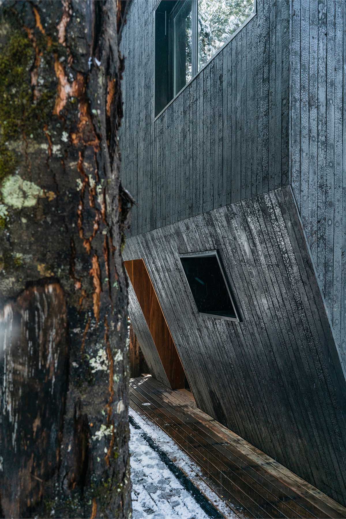 Argentinean guest cabins are envisioned with a rugged, rocky morphology clad in eucalyptus wood