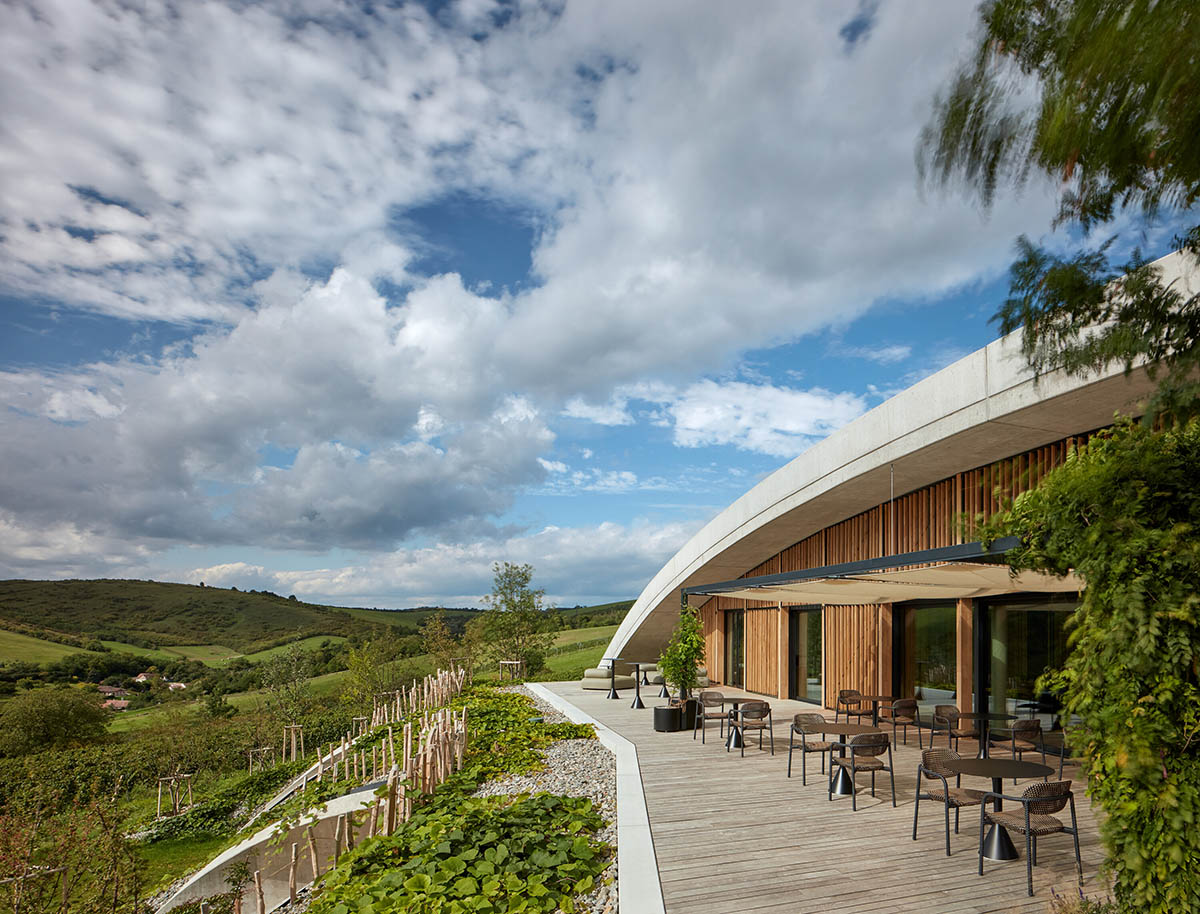 Curved green roof hides winery by Aleš Fiala in a rolling landscape in the Czech Republic