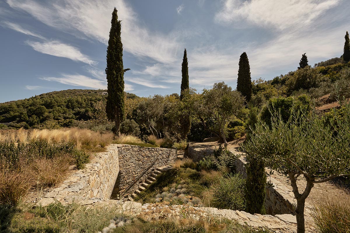 Terraced stonewalls sprawl down to offer an exploratory route in an old vineyard in Samos