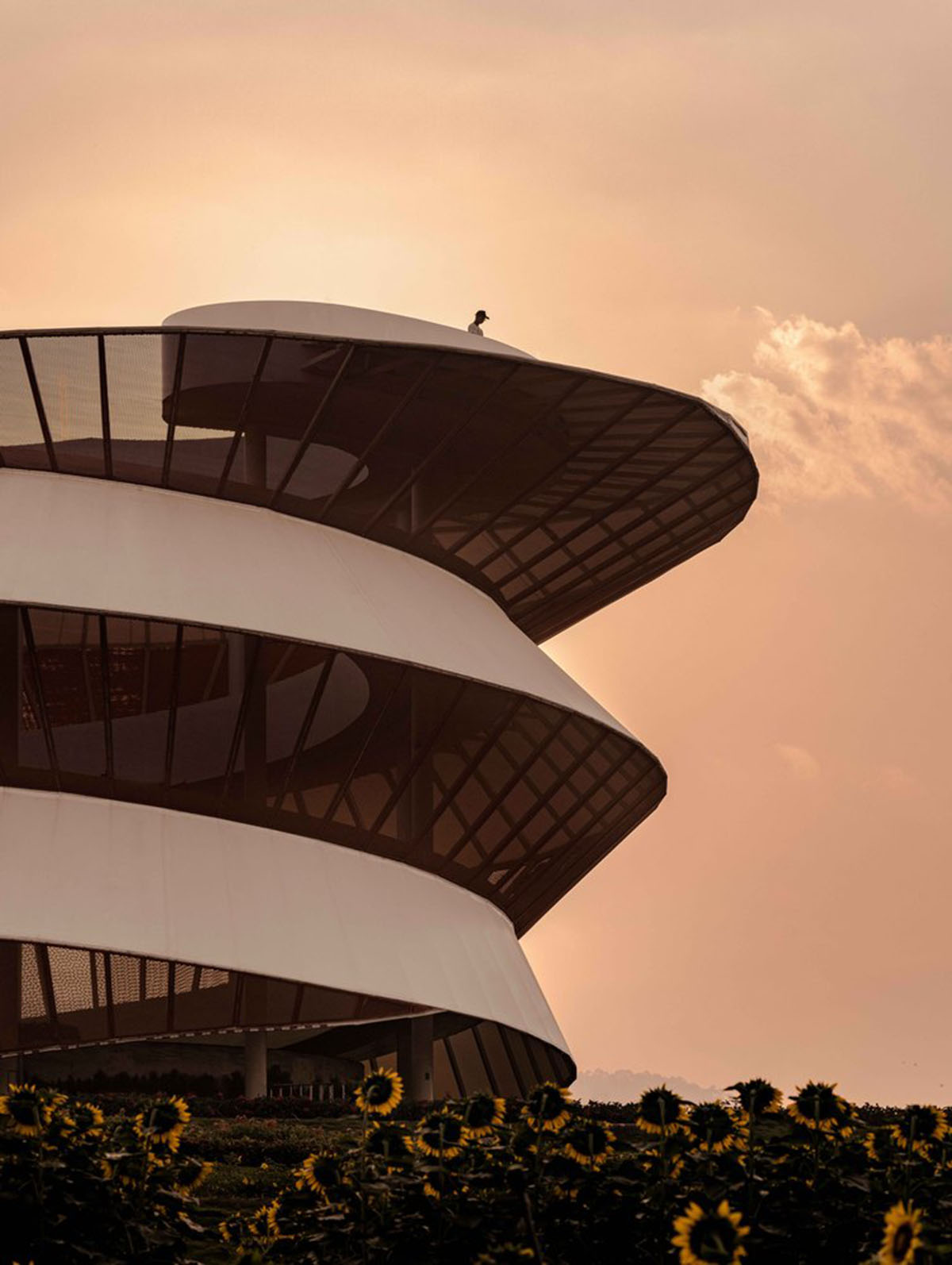 Doarchi designs spiral tower that allows visitors to explore the untouched nature while moving inside