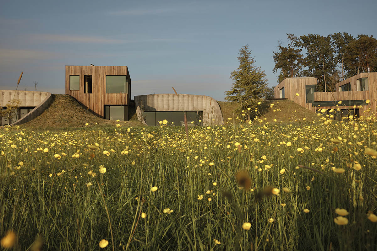 Omer Arbel shapes family home around monumental lily pad columns on a hayfield in Canada