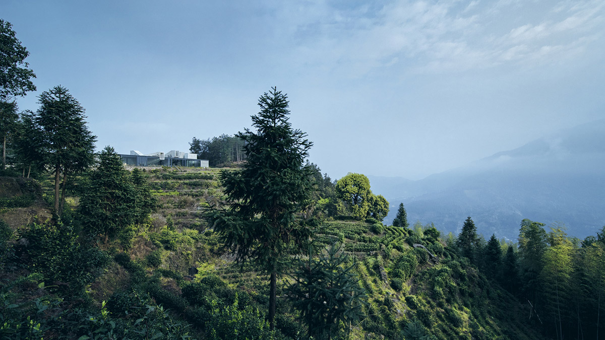 Eight diagonal light tubes are protruding from tea house to grasp prolonged sunlight hours by DnA