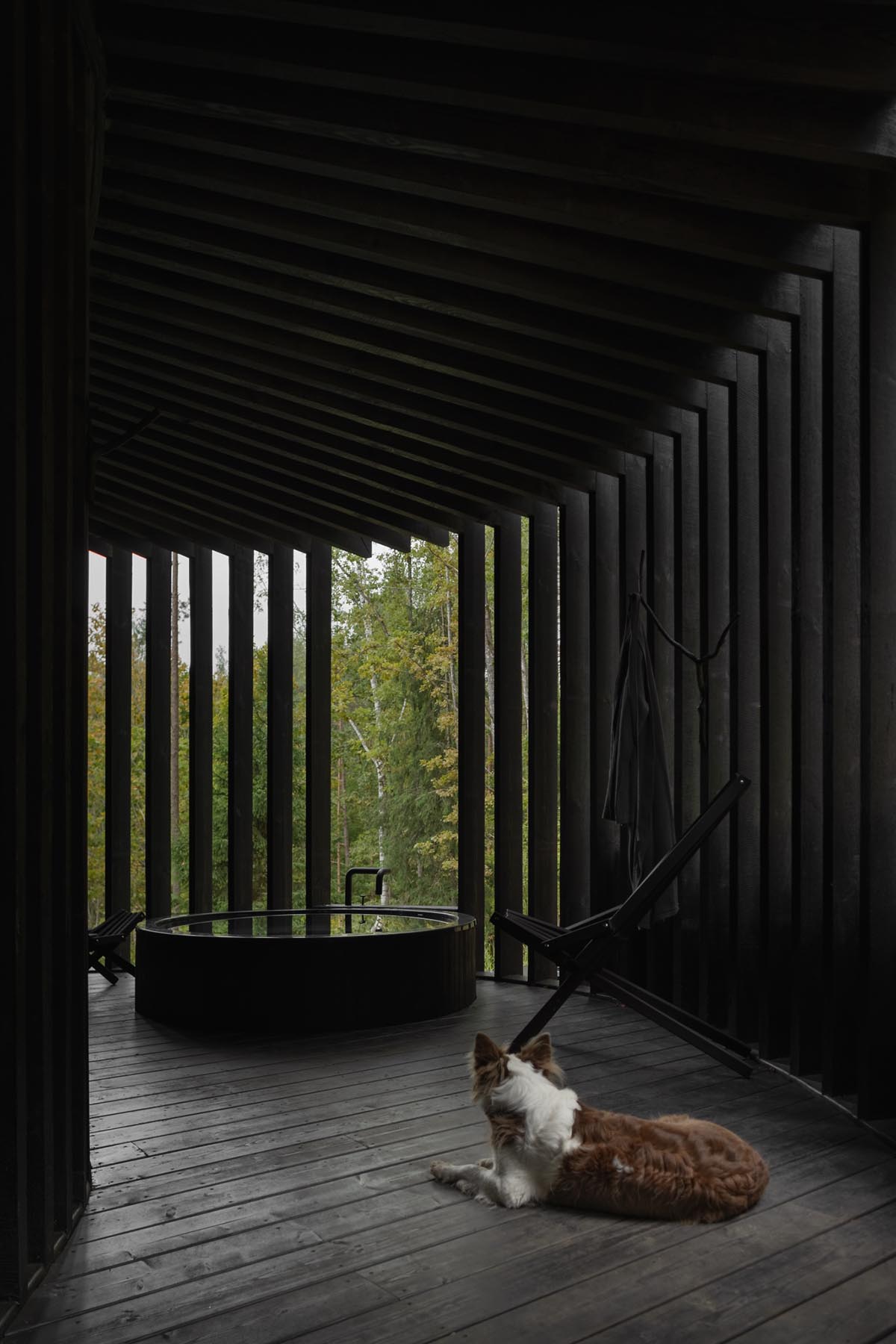 OPEN AD проектирует черную деревянную шерстяную сауну на курорте в Латвии 