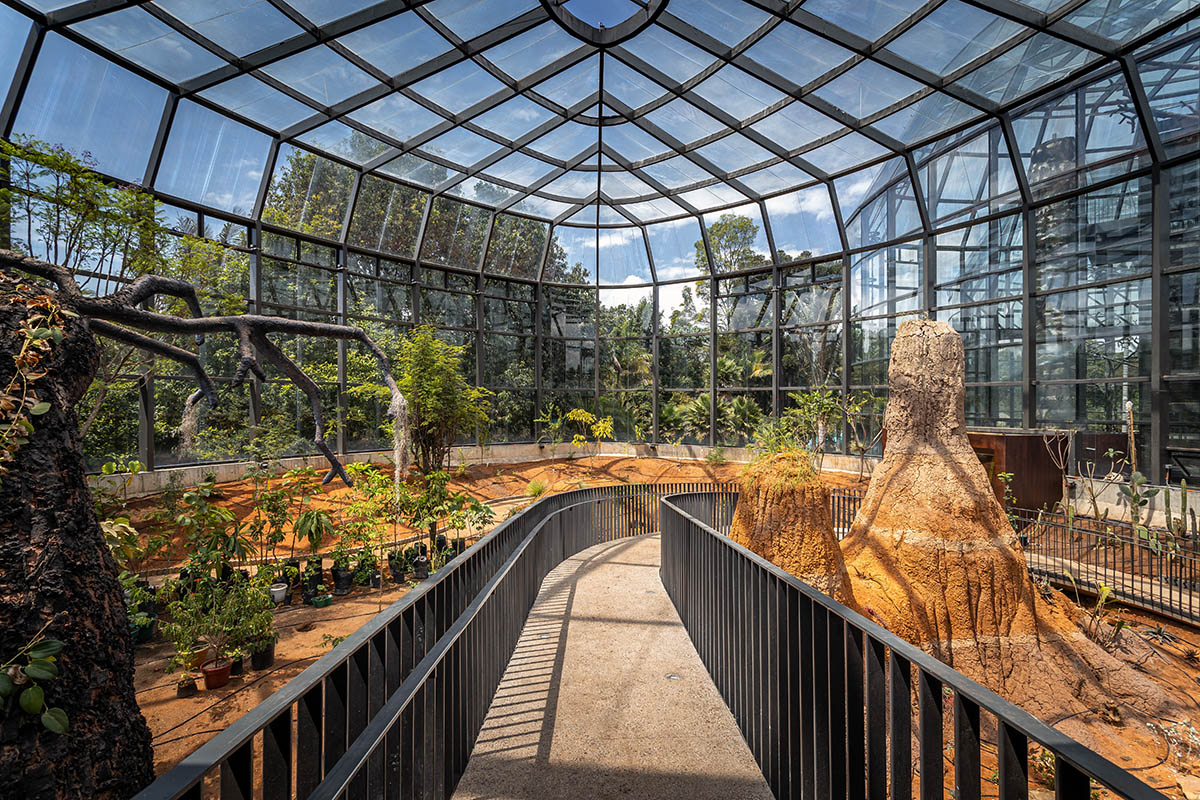 DARP построила ботанический сад в Колумбии с самонесущими застекленными объемами 