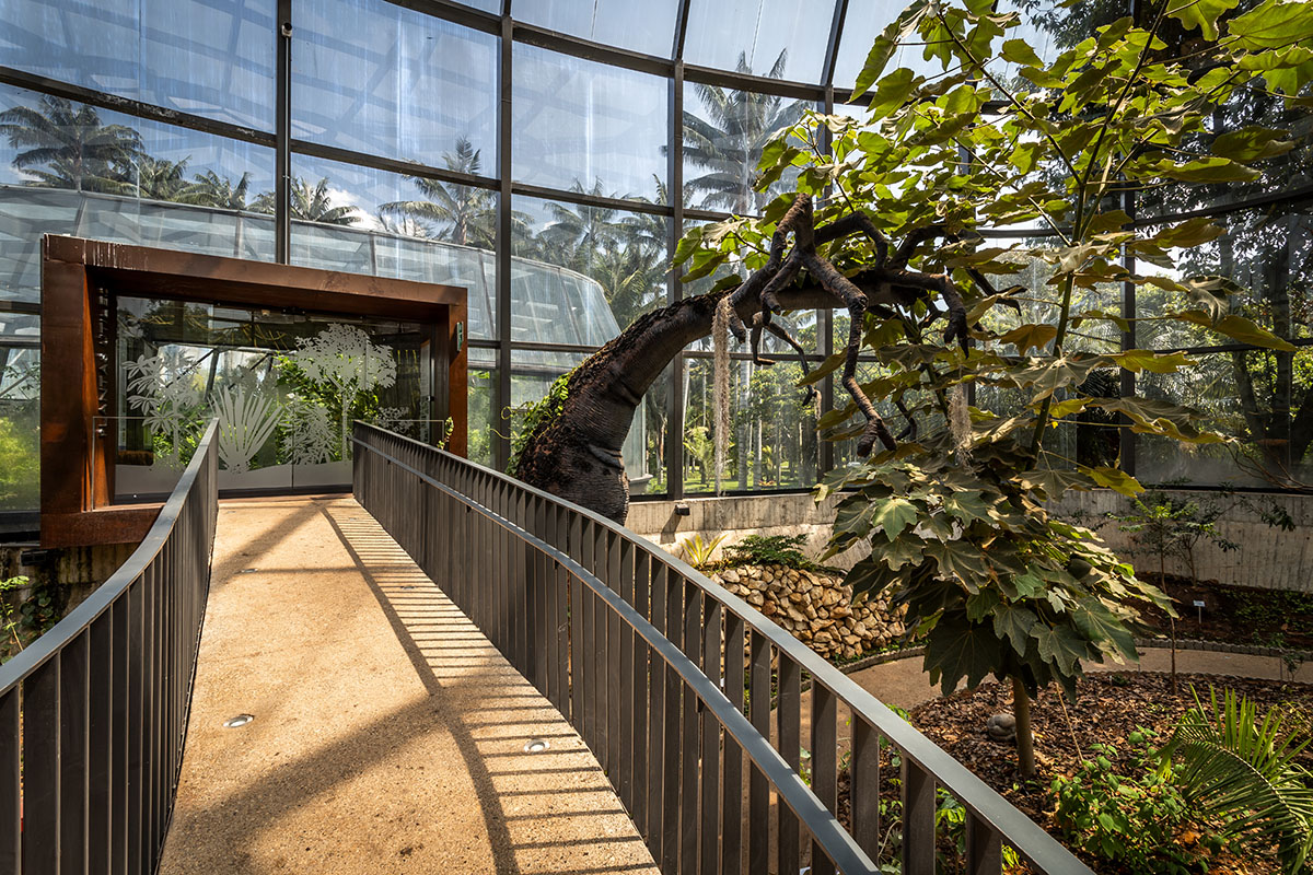DARP built botanical garden in Colombia with self-supporting glazed volumes