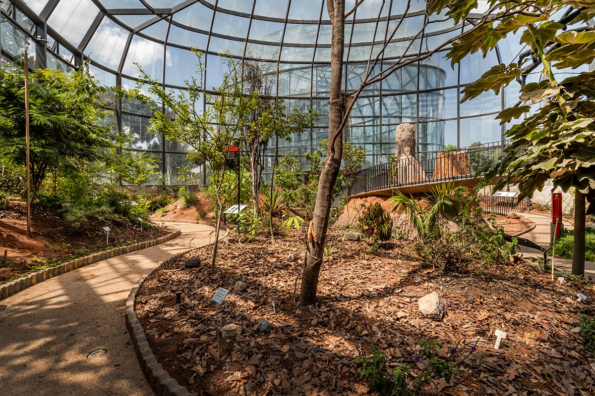 DARP построила ботанический сад в Колумбии с самонесущими застекленными объемами 