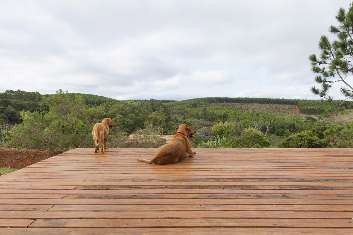 AUÁ arquitetos' reddish house seeks diversity for changing lifestyles in a human scale