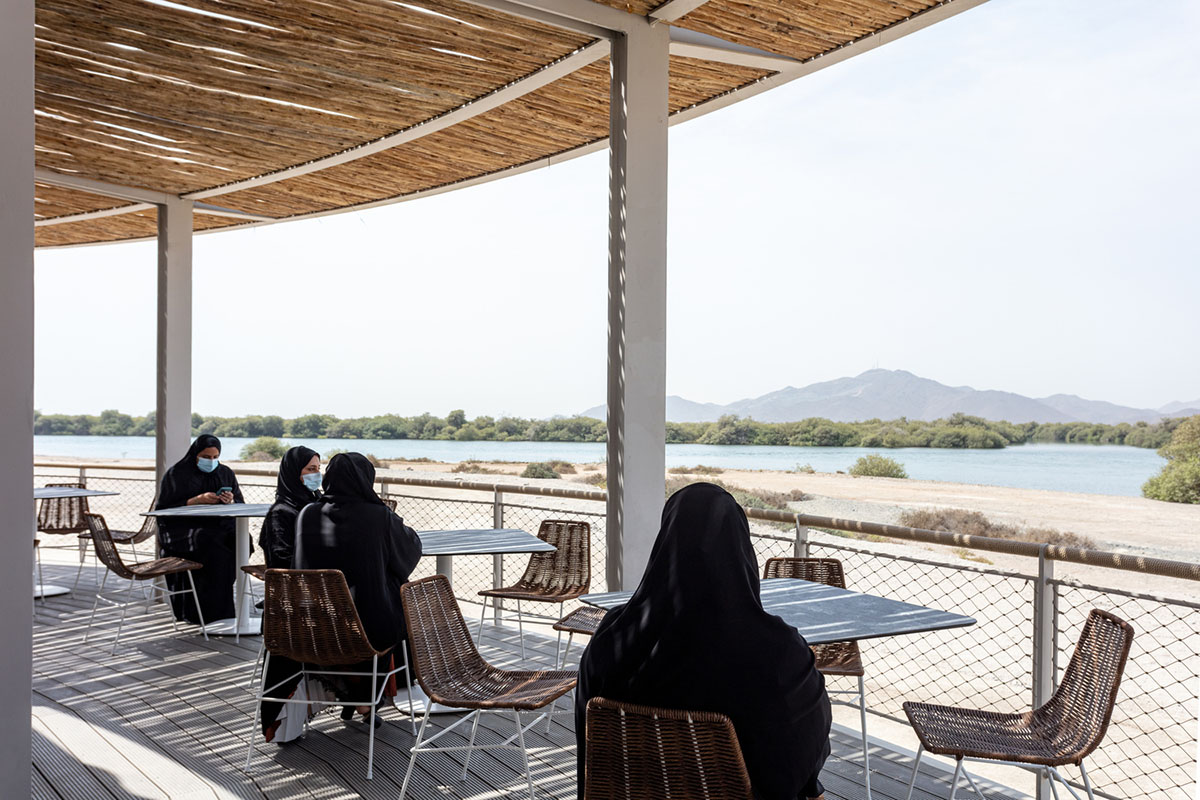Hopkins Architects created seven interconnected pods for Turtle Sanctuary in Sharjah