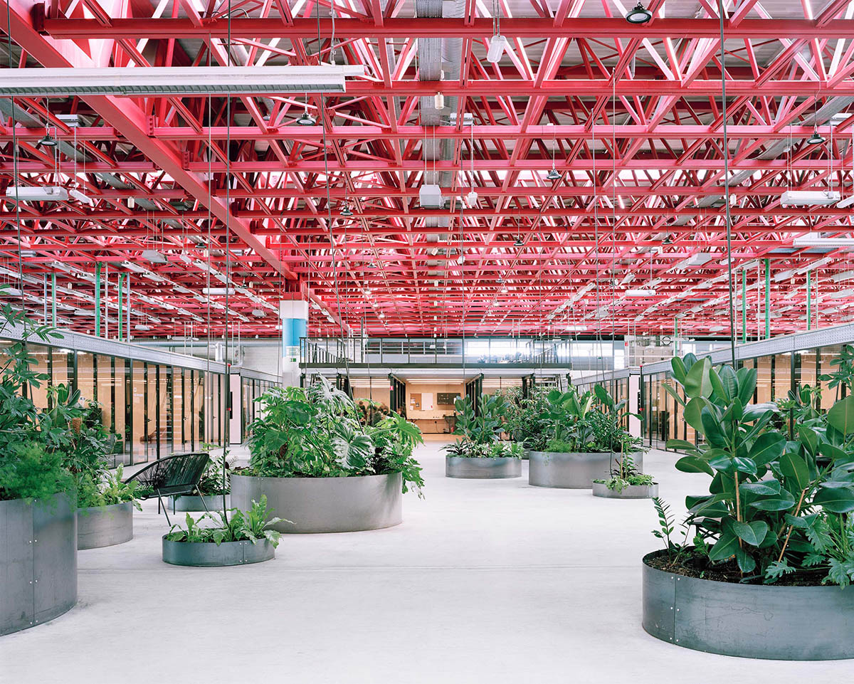 Traumnovelle превращает промышленное здание в рабочее пространство с розоватым стальным потолком в Бельгии. 