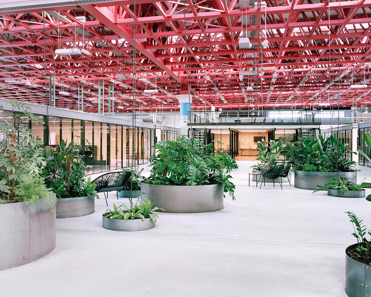 Traumnovelle converts industrial building into a workspace with pinkish steel ceiling in Belgium 