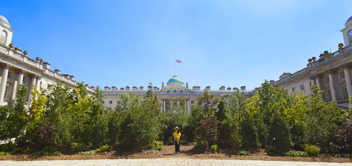 Es Devlin fills Somerset House's courtyard with 400 trees at London Design Biennale