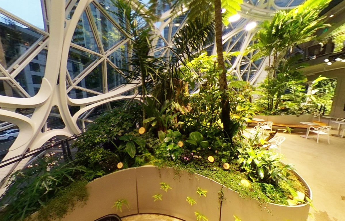 Amazon opens its tree-filled spherical headquarters in downtown Seattle