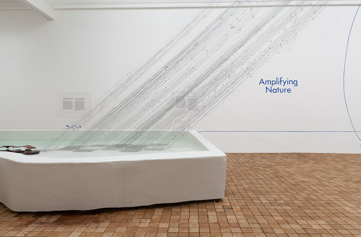 Pavilion of Poland presents Amplifying Nature at the Venice Architecture Biennale