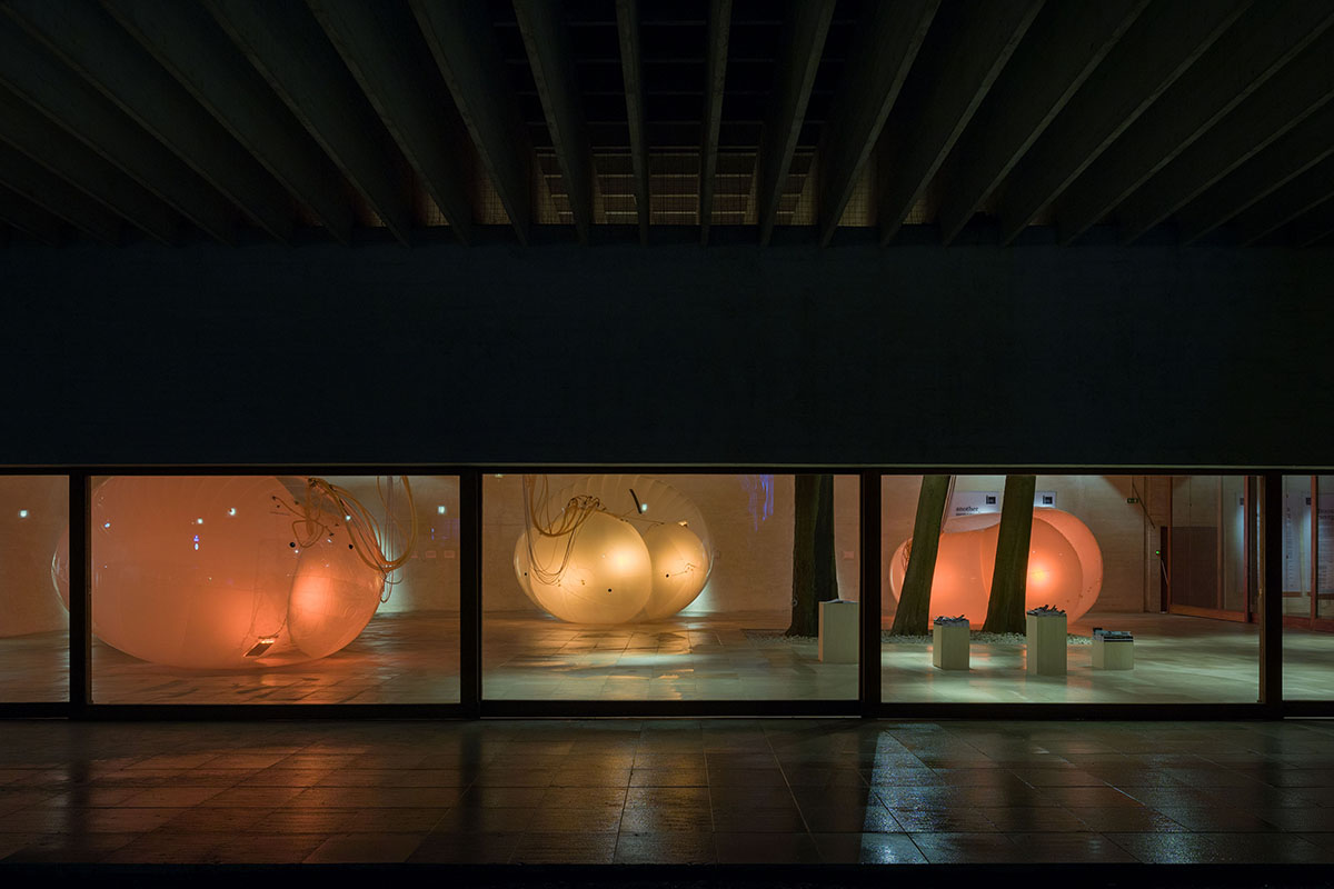Nordic Pavilion showcases symbiotic relationship with Another Generosity at Venice Biennale