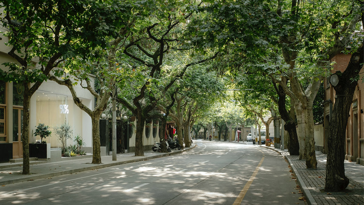 B.l.U.E. Architecture Studio designs this minimal coffee shop with glass frontage in Shanghai