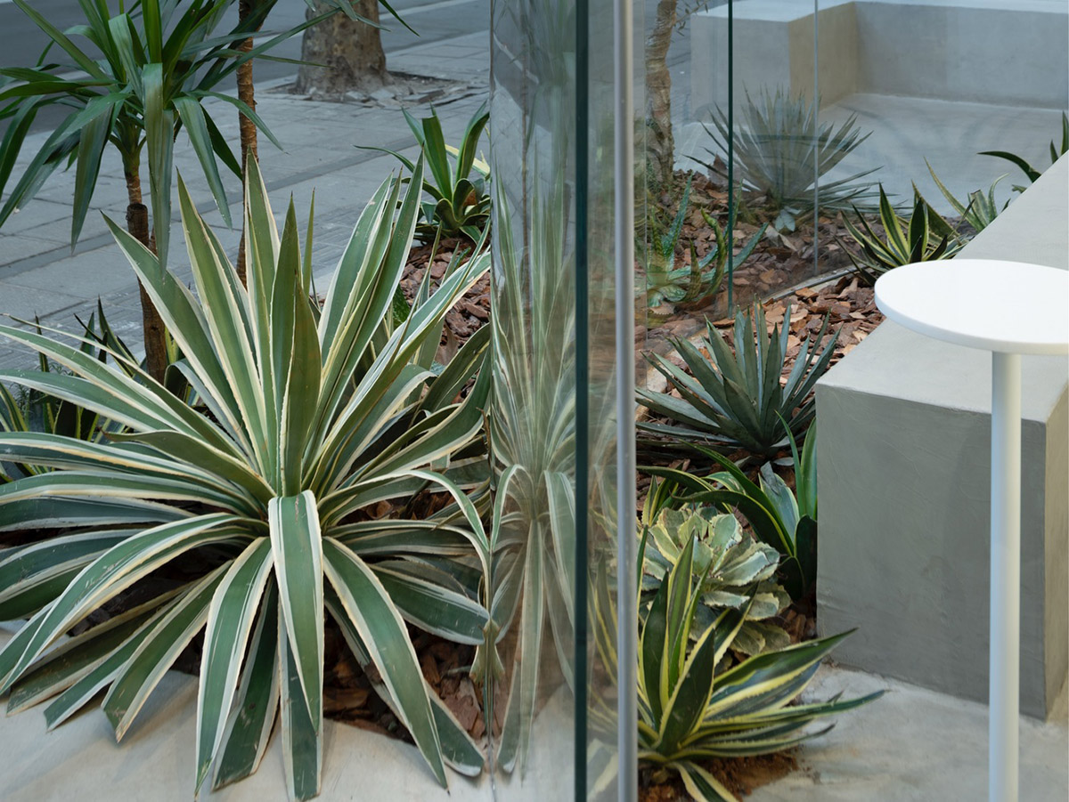 B.l.U.E. Architecture Studio designs this minimal coffee shop with glass frontage in Shanghai