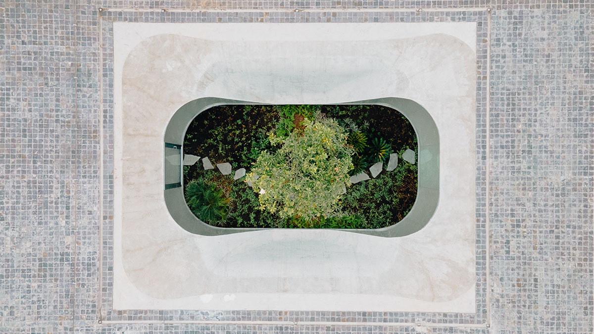 Estudio Felipe Escudero designs Magnolia House around a courtyard and magnolia tree in Ecuador