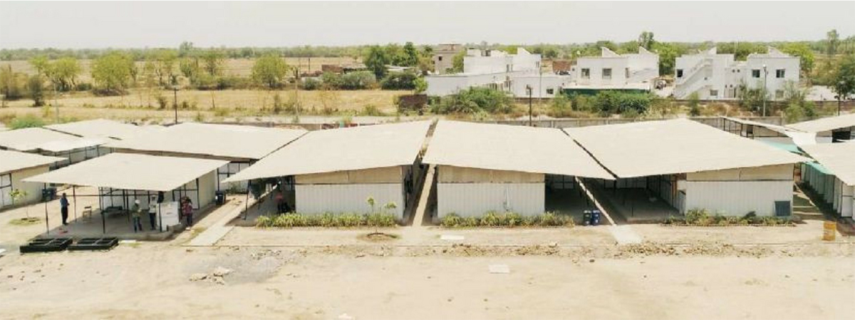 A Pulse in the Nebula